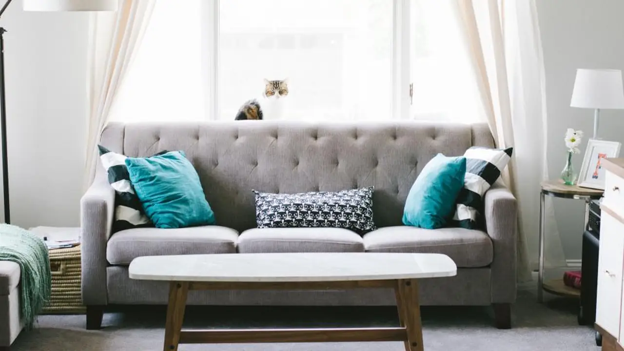 Graues Sofa mit Kissen in einem hellen Wohnzimmer